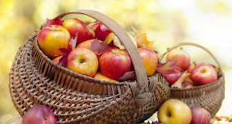 Яблочный Спас и Преображение Господне: собираем и заготавливаем яблоки