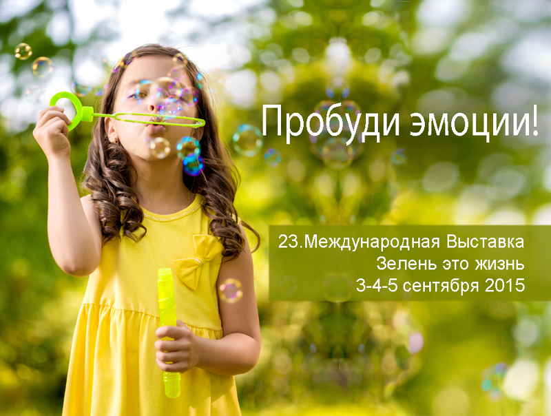 Международные выставки и конкурсы Международные выставки и конкурсы