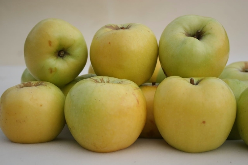 Яблоки антоновка - плоды