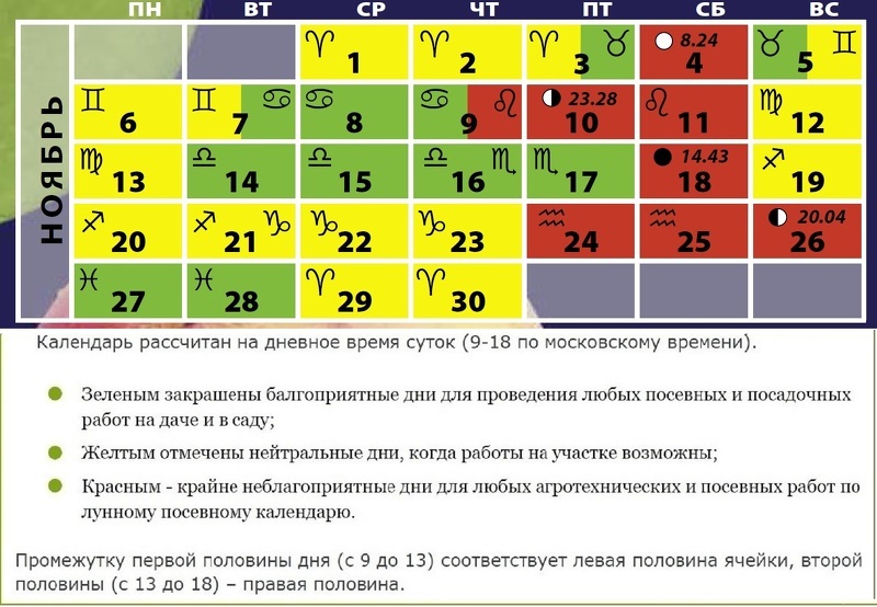 Благоприятные дни на ноябрь: посевной календарь в таблице