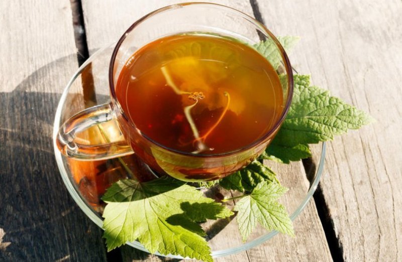 Готовим полезный чай из веточек садовых деревьев и кустарников