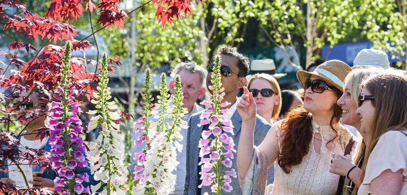 Фестиваль цветов Chatsworth Flower Show