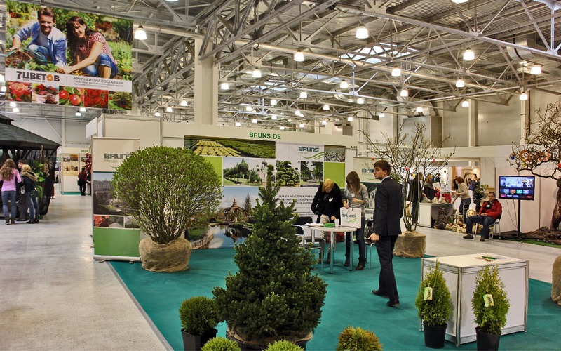 Декоративные садовые деревья на Myplant and Garden