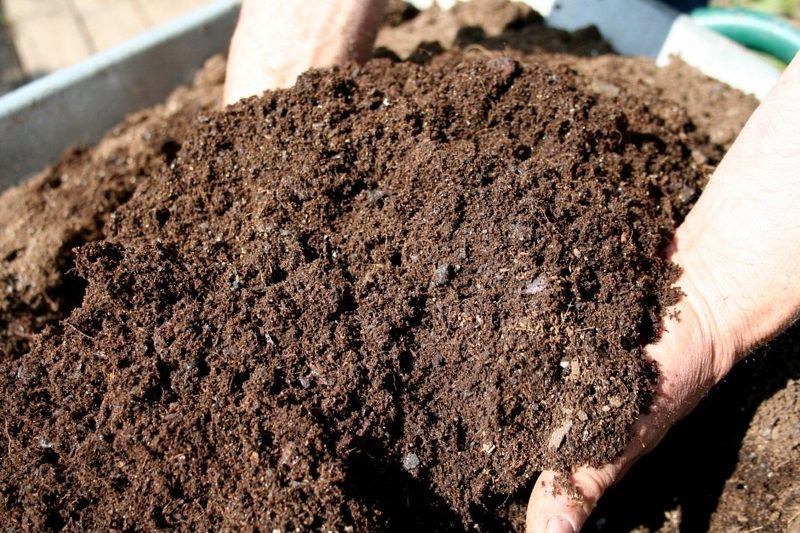 Компост с глиной - эффективное органическое удобрение