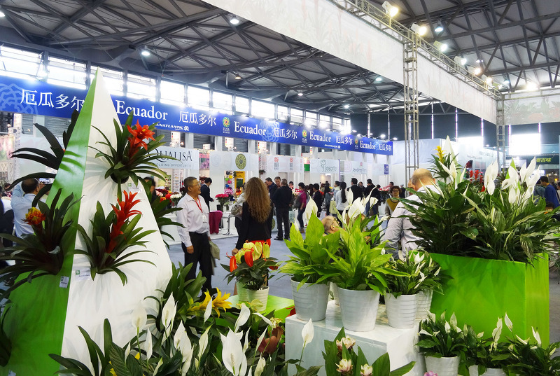Экзотические растения для дома и сада на выставке HORTIFLOREXPO