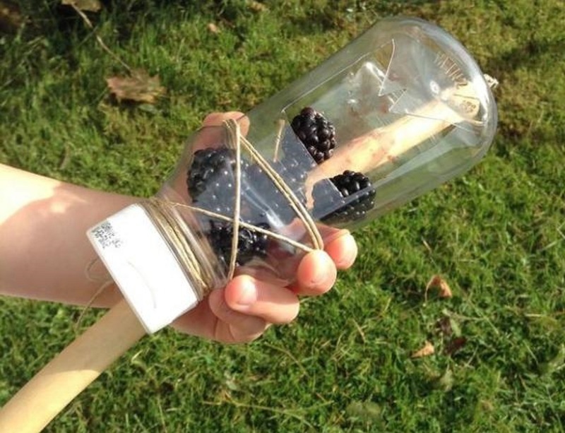 DIY-Стакан-комбайн для сбора ягод своими руками