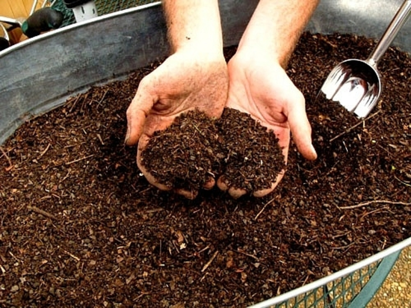 Удобрение почвы компостом способствует восстановлению и улучшению плодородности