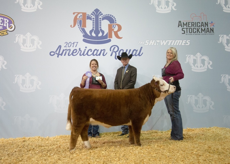 Покупка и продажа рогатого скота на выставке World Beef Expo в США