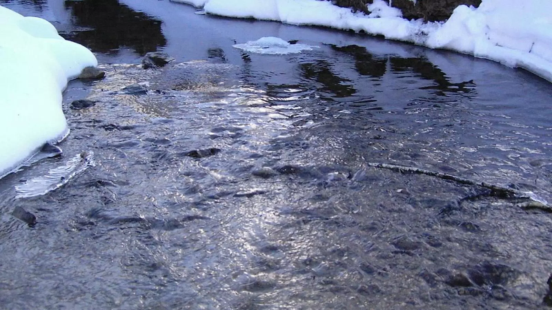 день водяного в 2021 какого числа. Смотреть фото день водяного в 2021 какого числа. Смотреть картинку день водяного в 2021 какого числа. Картинка про день водяного в 2021 какого числа. Фото день водяного в 2021 какого числа