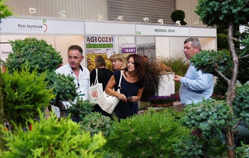 Декоративные растения для участка на выставке Green is Life