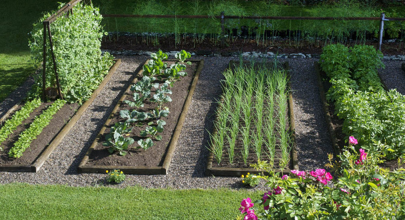 валберис сад и огород