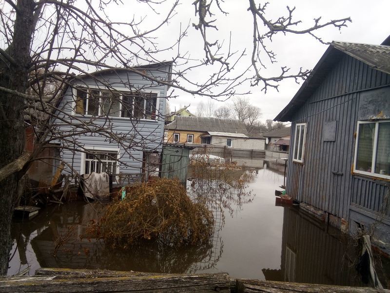 Даже если вода не проникла в дом при паводке - понадобится просушивание и обработка стен от грибка