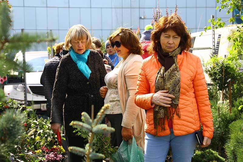 На выставке будет представлено большое количество как садовых так и комнатных растений.