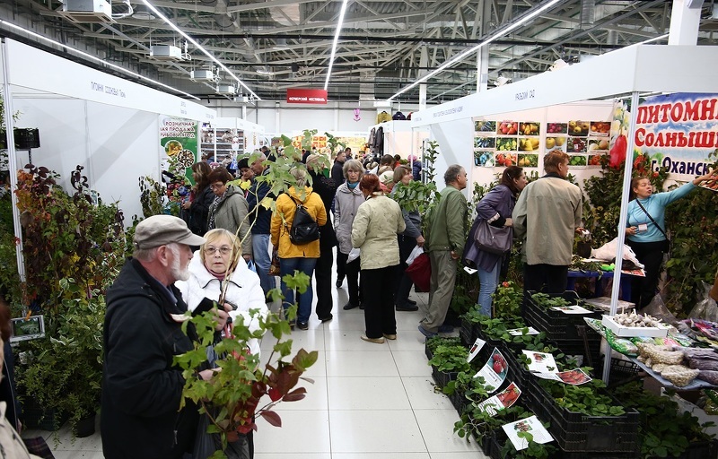 Саженцы на выставке Осенний сад в Перми