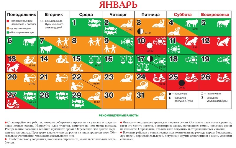 Благоприятные дни на январь: посевной календарь в таблице